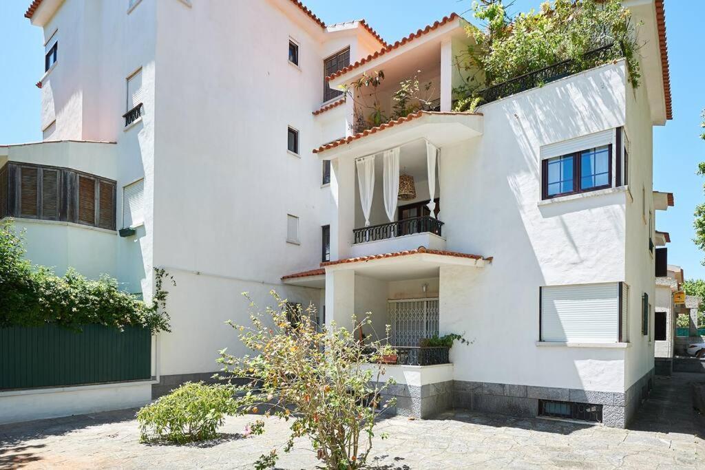 Oasis Appartement *